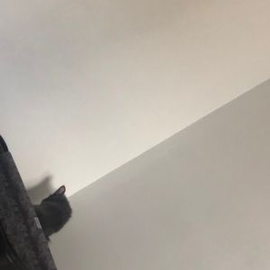 Meet your Posher, Weijing